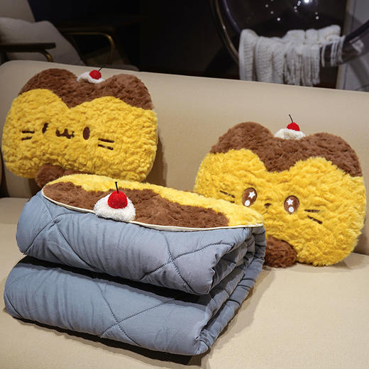 自然醒布丁猫刷花两用抱枕被QYL 商品图10