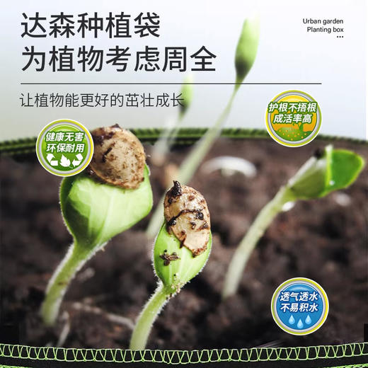 美国  黑色毛毡布种植袋 加厚育苗 蔬菜绿植种花袋 商品图3