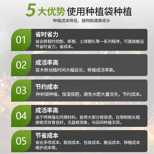 美国  黑色毛毡布种植袋 加厚育苗 蔬菜绿植种花袋 商品图2