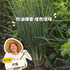 生态小葱 | 绿家自产*Ecological Shallot | Self-production 商品缩略图0