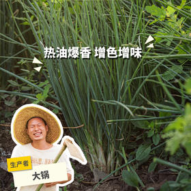 生态小葱 | 绿家自产*Ecological Shallot | Self-production