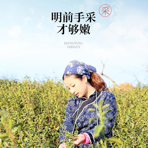 【徽羽】苏州 东山洞庭碧螺春明前碧螺春一级250克 商品图2