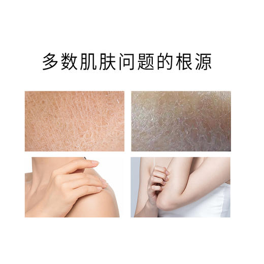 正安 艾草沐浴露 艾叶油迷迭香积雪草等 泡沫细腻 春夏护肤清洁秋冬滋润拒绝瘙痒干燥肌肤  草本精华沐浴液480ml/瓶 商品图2