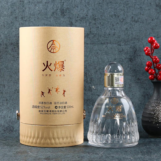 52度五粮液 火爆羽毛球500ml 单瓶 商品图3