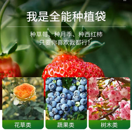 美国  黑色毛毡布种植袋 加厚育苗 蔬菜绿植种花袋 商品图1