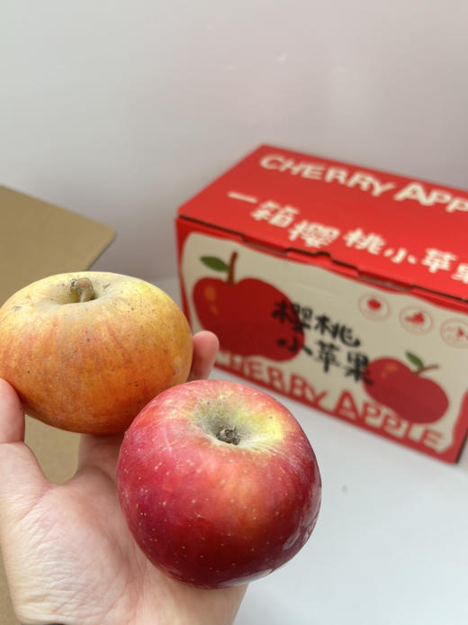 新疆樱桃苹果，汁水足、纯甜 商品图2