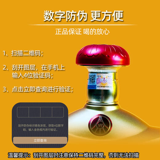 52度五粮液 富贵吉祥·元宝500ml 单瓶 商品图5