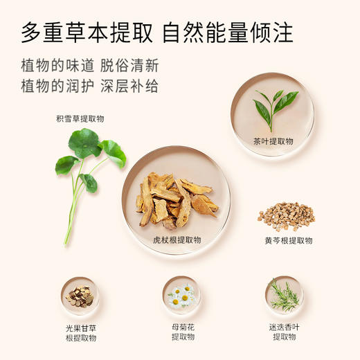 正安 艾草沐浴露 艾叶油迷迭香积雪草等 泡沫细腻 春夏护肤清洁秋冬滋润拒绝瘙痒干燥肌肤  草本精华沐浴液480ml/瓶 商品图8