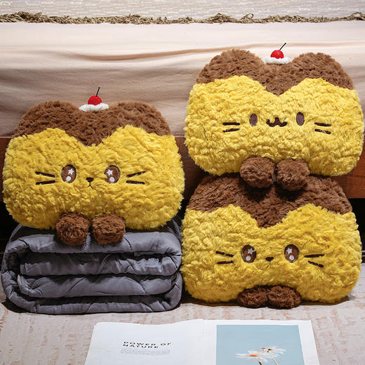 自然醒布丁猫刷花两用抱枕被QYL 商品图8