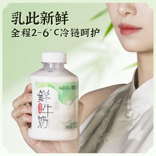 【快递直达】美丽健西湖牌PET4.0鲜牛奶500g 商品图3
