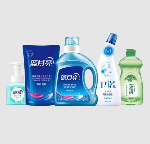 蓝月亮家居清洁礼包（1.06kg薰亮白洗衣液+500g亮白袋+500g沁香洁厕液+500g茶清洗洁精+255ml鲜果薄荷泡沫洗手液） 商品图0