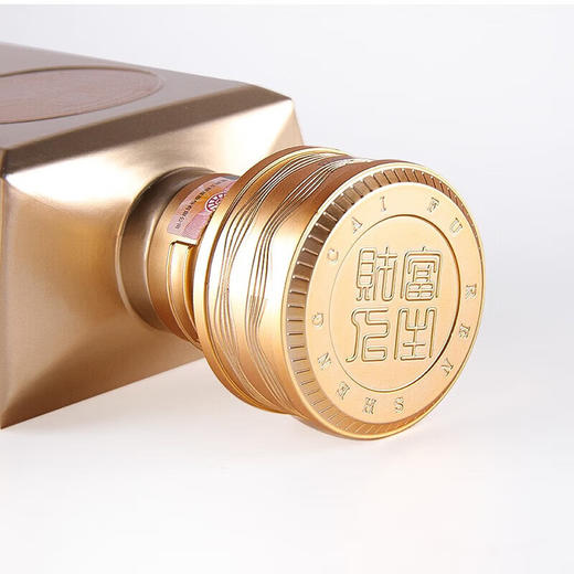52度五粮液财富人生金砖500ml 单瓶 商品图3