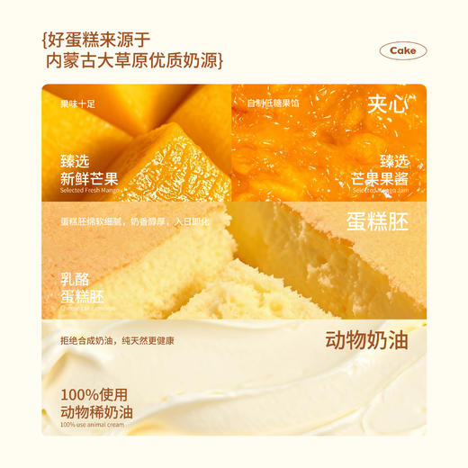 【同城配送】海鹏-贺寿吉祥动物奶油蛋糕 商品图1