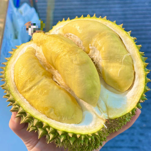 泰国甲仑榴莲B果 三房肉 商品图2