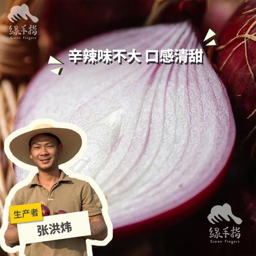 生态洋葱（云南） | 合作生产*Ecological onion| Partner Production 商品图0