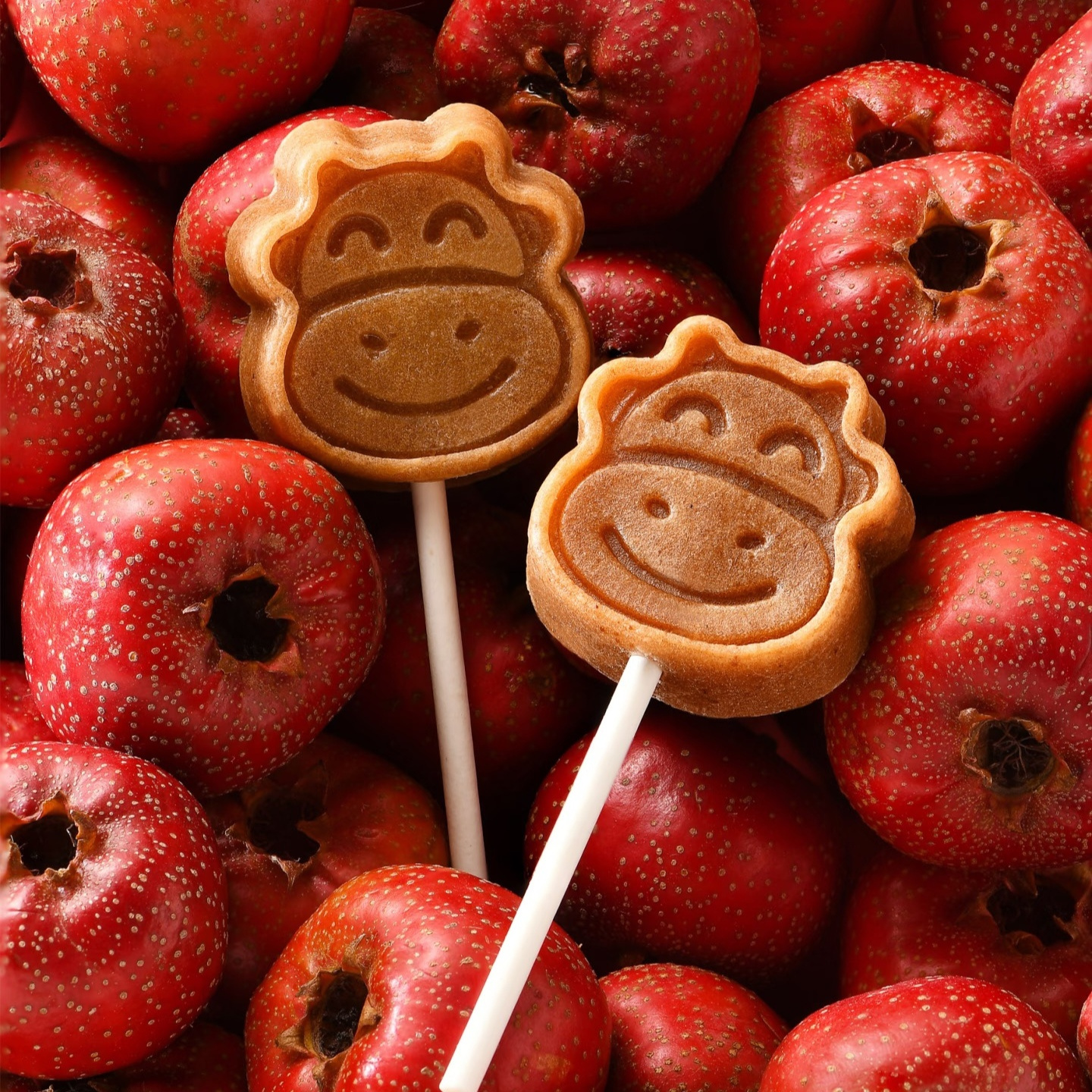 「0糖版」蓝莓山楂棒棒糖｜只有4样成份：蓝莓，山楂，苹果，红枣