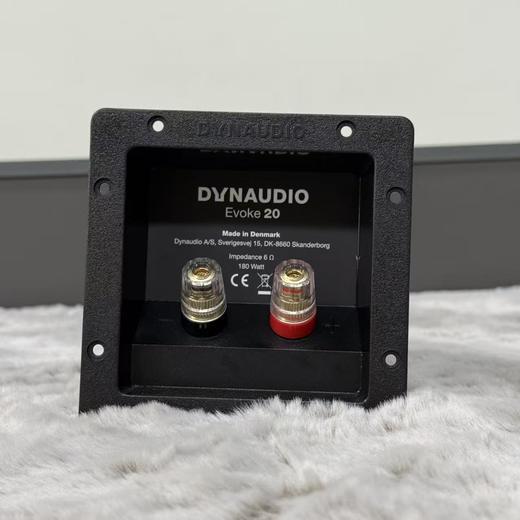 丹麦制造 Dynaudio / 丹拿 Evoke系列分频器 发烧友DIY好物 商品图9