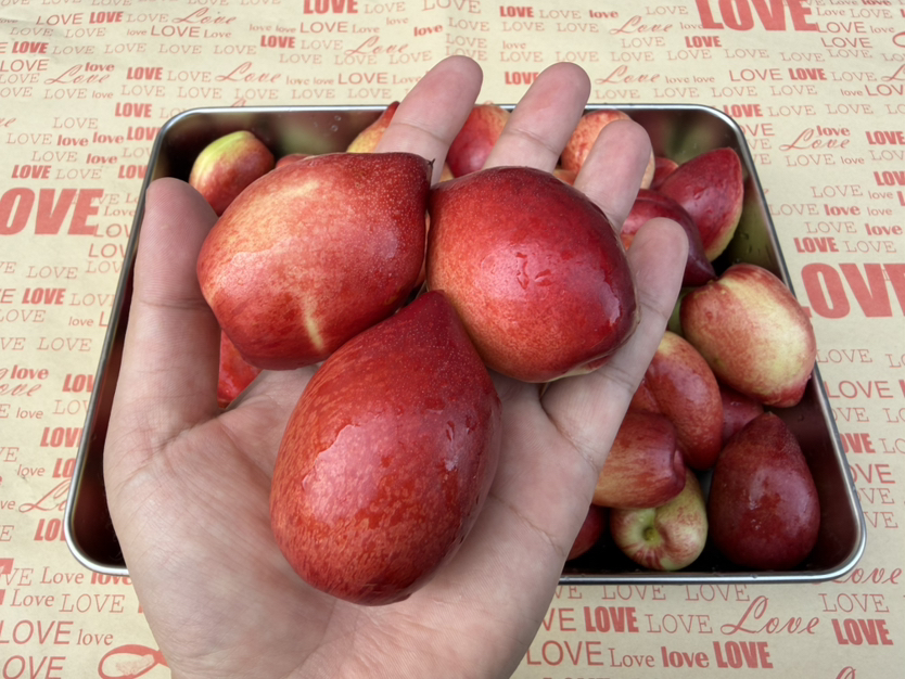 白肉油桃500g+  8~10个