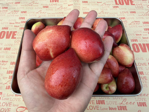 白肉油桃500g+  8~10个 商品图0