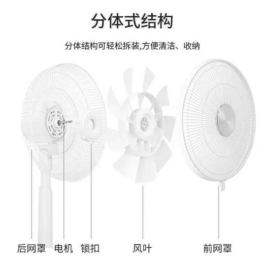 西哲/Sezze DC台地扇3812 商品图7