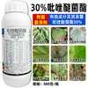 30%吡唑醚菌酯白粉霜霉炭疽叶斑病果树蔬菜杀菌剂专用药正品农用 商品缩略图3