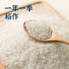 袁谷(长粒香米) 5kg 商品缩略图4