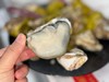 乳山生蚝2.5斤装 9~11个 商品缩略图3