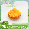 芒果挞挞 商品缩略图0