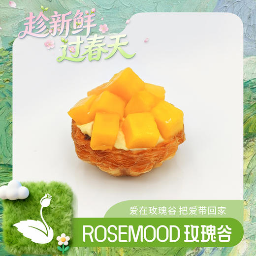 芒果挞挞 商品图0