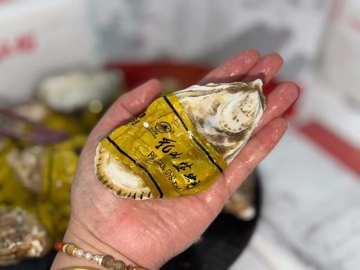 乳山生蚝2.5斤装 9~11个 商品图1