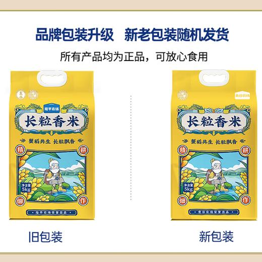 袁谷(长粒香米) 5kg 商品图2