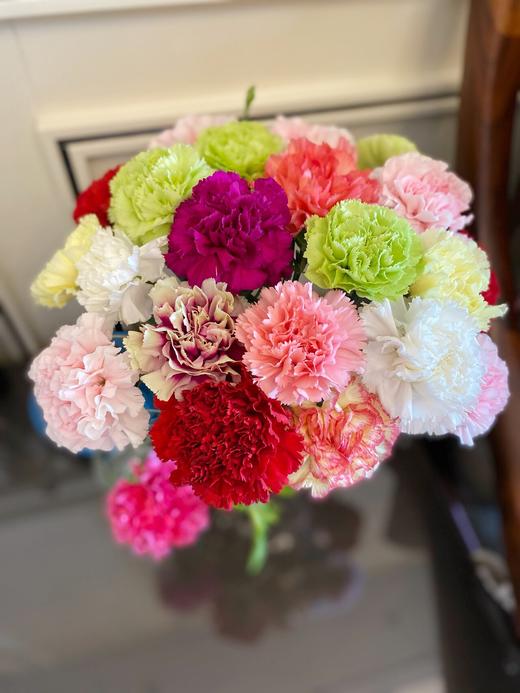 混色康乃馨 商品图2