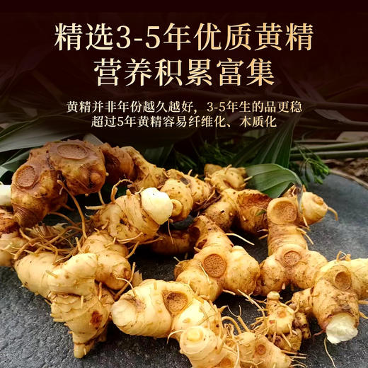康美酒黄精200g/盒（10g*20袋）酒制蒸晒可即食黄精 商品图2