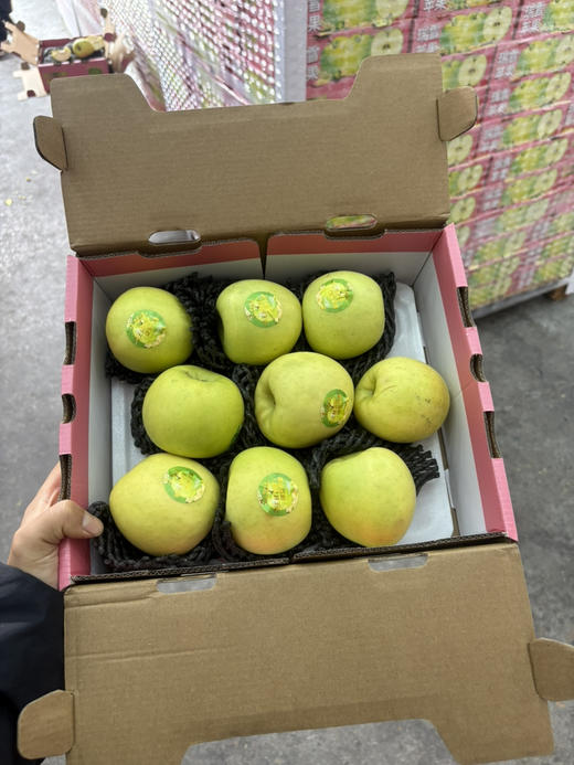 19.8一箱甘肃瑞雪苹果净重约3斤 商品图0