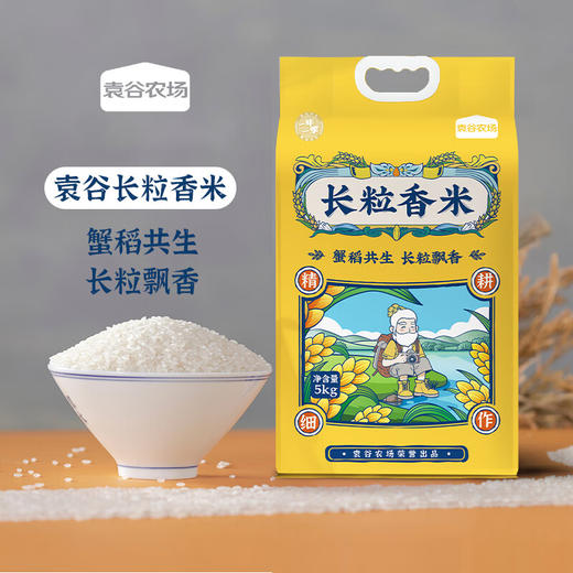 袁谷(长粒香米) 5kg 商品图1