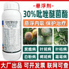30%吡唑醚菌酯白粉霜霉炭疽叶斑病果树蔬菜杀菌剂专用药正品农用 商品缩略图2