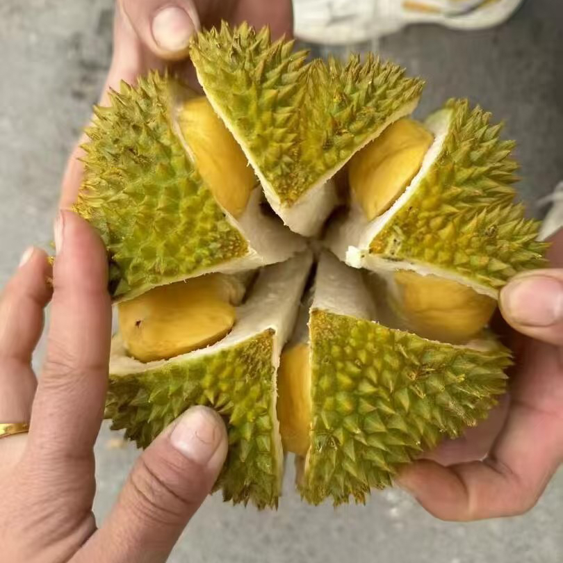 泰国甲仑榴莲纯A果 五~六房肉