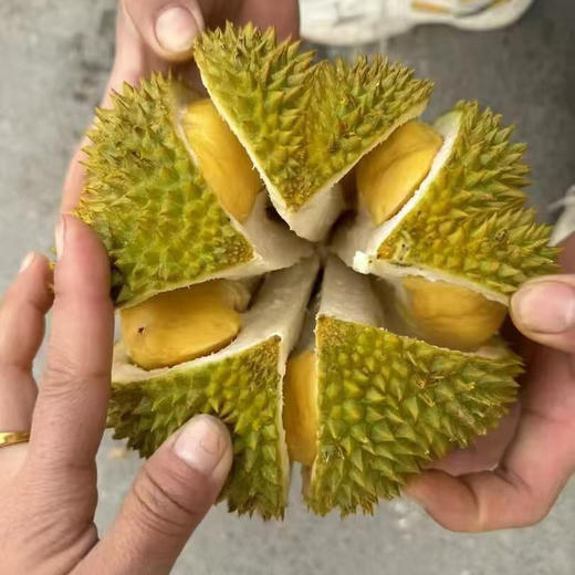 泰国甲仑榴莲纯A果 五~六房肉 商品图0