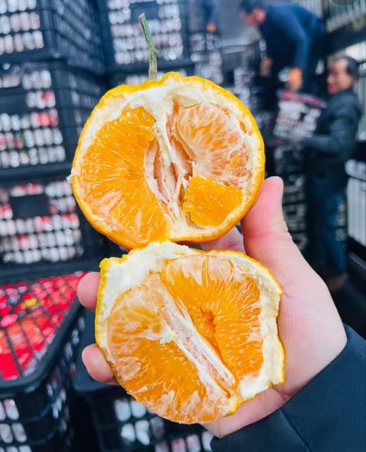 【社群团购】耙耙柑【约3斤】【BJ】 商品图1