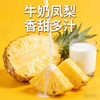 【社群团购】海南牛奶豆浆凤梨【1个装约3斤】【BJ】 商品缩略图1