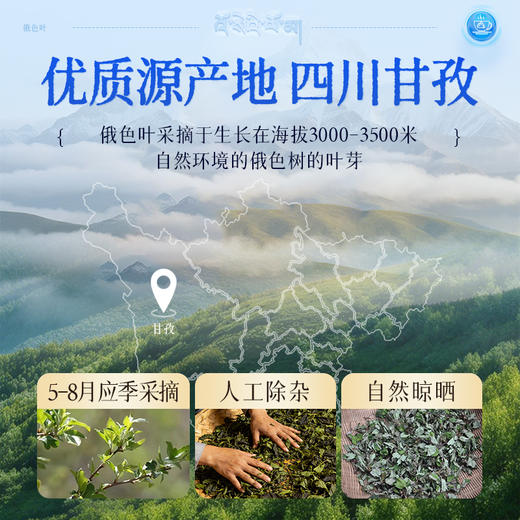 【预售】康美 俄色叶60g/盒(2g*30袋）中药饮片 四川甘孜优质原产地 独立小包装 商品图3