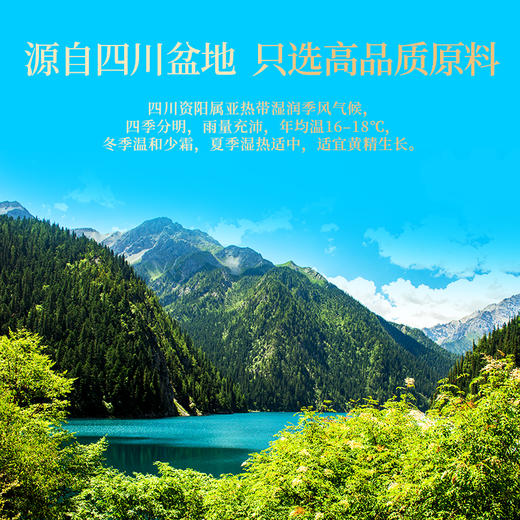 康美酒黄精200g/盒（10g*20袋）酒制蒸晒可即食黄精 商品图4