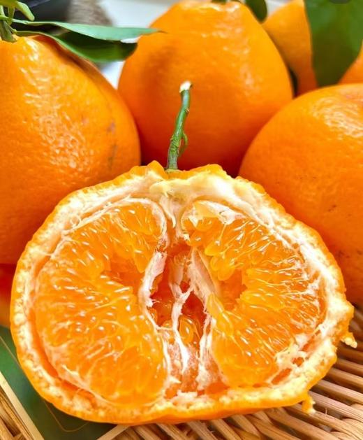 【社群团购】耙耙柑【约3斤】【BJ】 商品图0