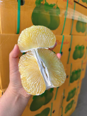 泰国青柚 水水甜甜柚子