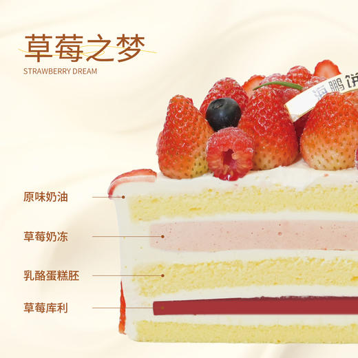 【同城配送】海鹏-草莓之梦动物奶油蛋糕 商品图2
