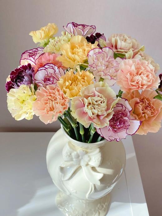 混色康乃馨 商品图4