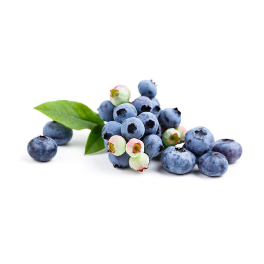 蓝莓（散）(500g±50g) 商品图0