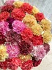 混色康乃馨 商品缩略图5