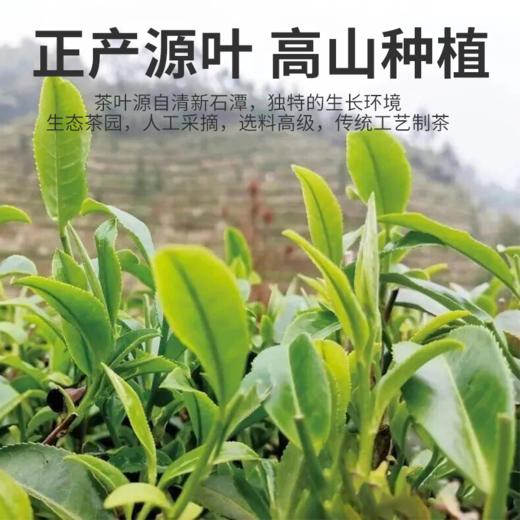 清新石潭蒲坑茶250克/罐 【清新供销出品】 老茶人12年茶韵 商品图4