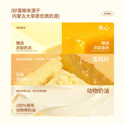 【同城配送】海鹏-凤梨欢歌动物奶油蛋糕 商品图1